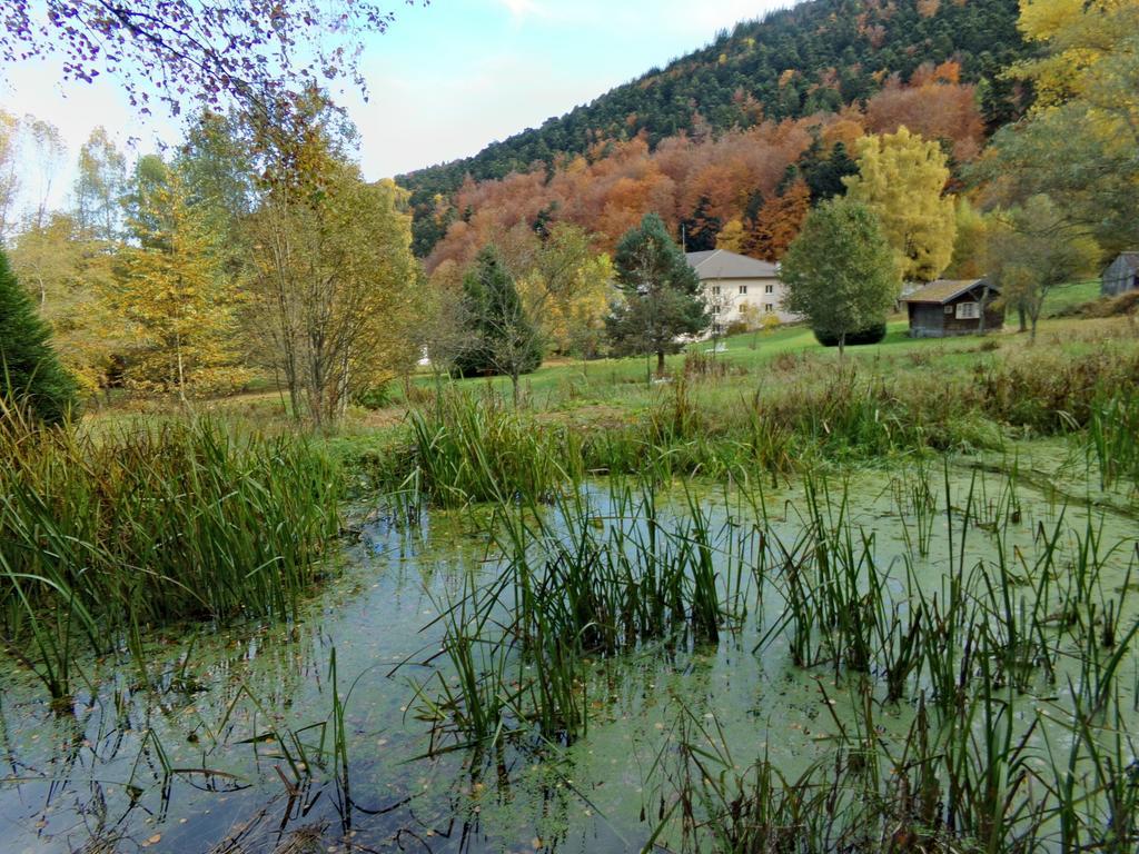 Hotel-Spa & Restaurant Logis Domaine Langmatt Murbach Eksteriør bilde