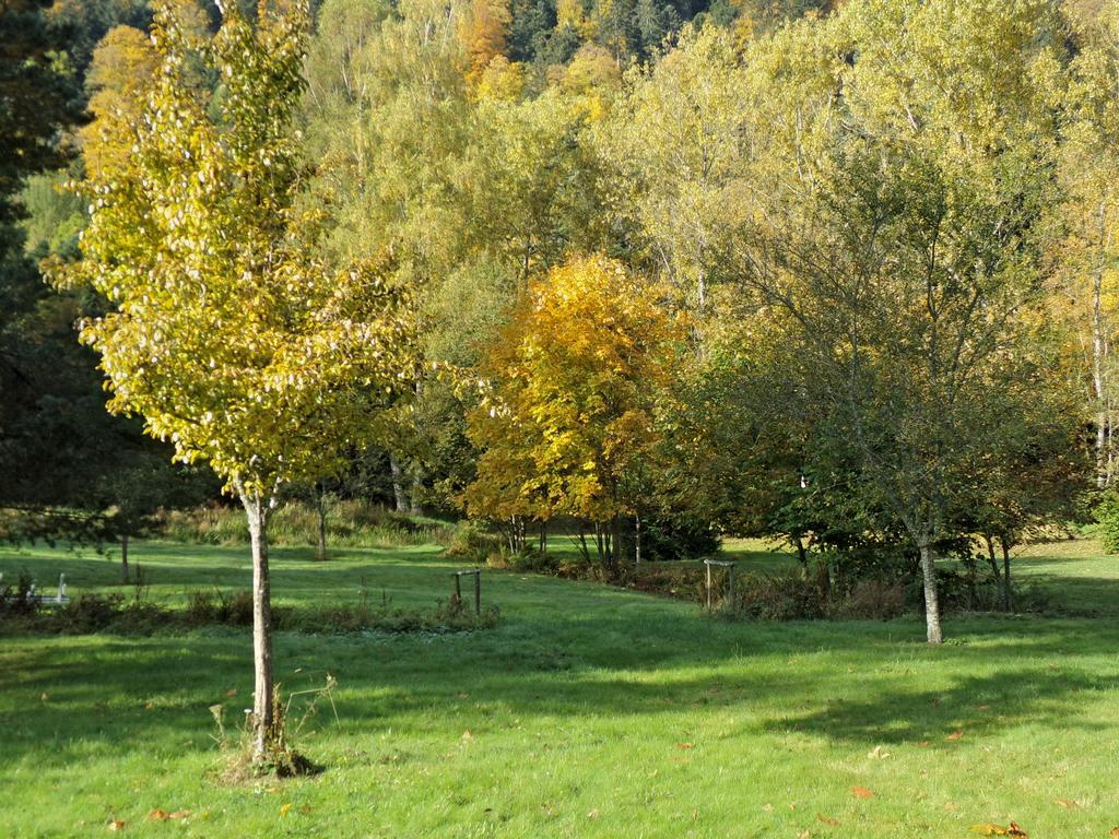 Hotel-Spa & Restaurant Logis Domaine Langmatt Murbach Eksteriør bilde