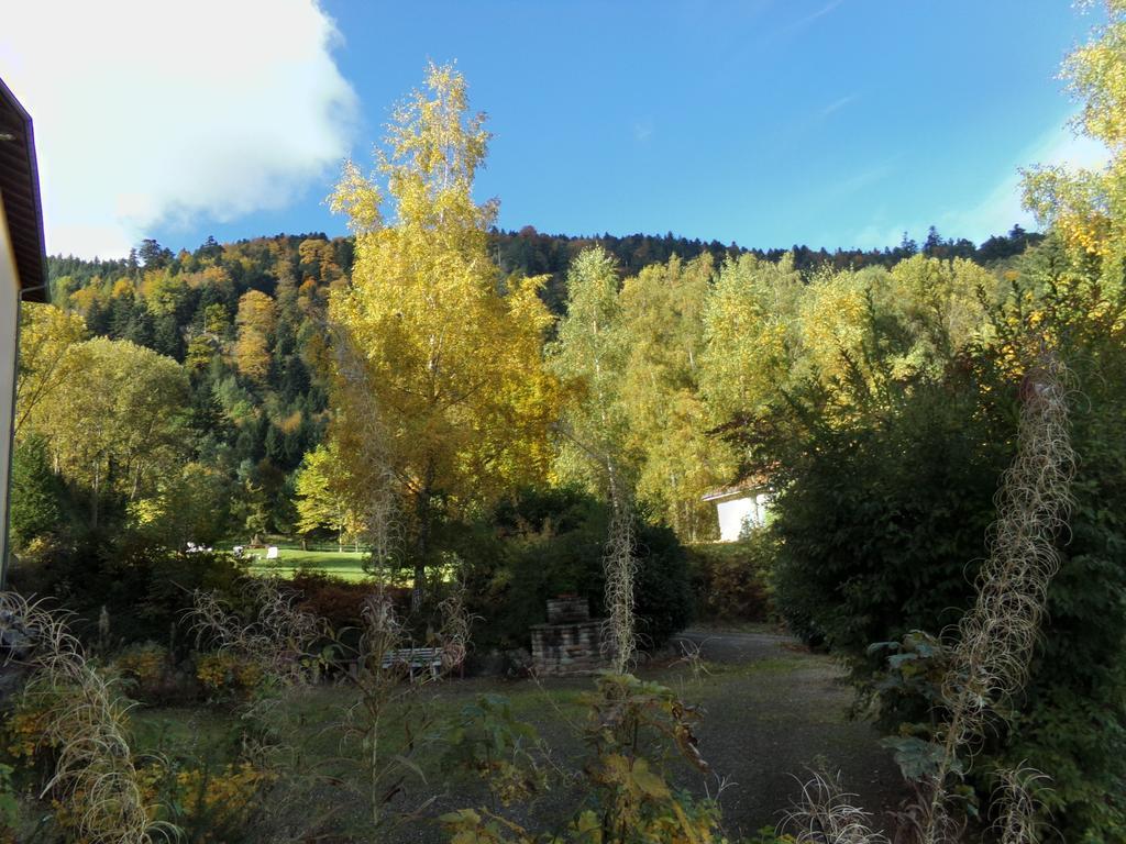 Hotel-Spa & Restaurant Logis Domaine Langmatt Murbach Eksteriør bilde